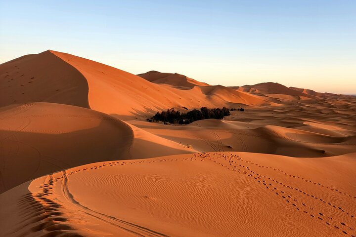 Four Days, Two Desert Nights