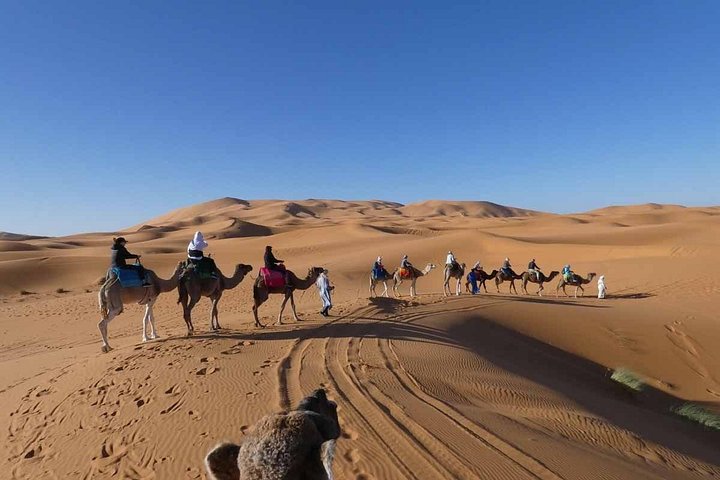 Private Sahara Trip With Private Bathrooms