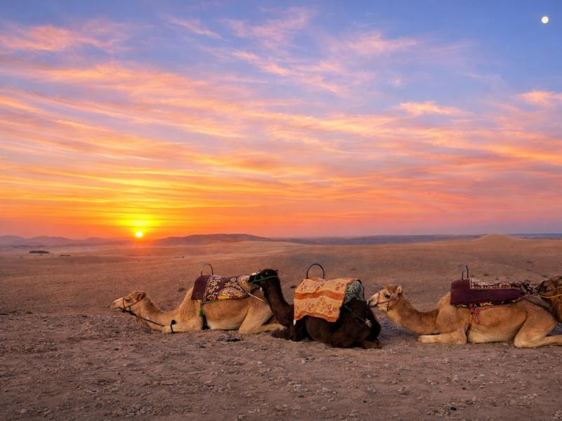 Agafay Desert Quad Bike & Camel Ride with Dinner Show