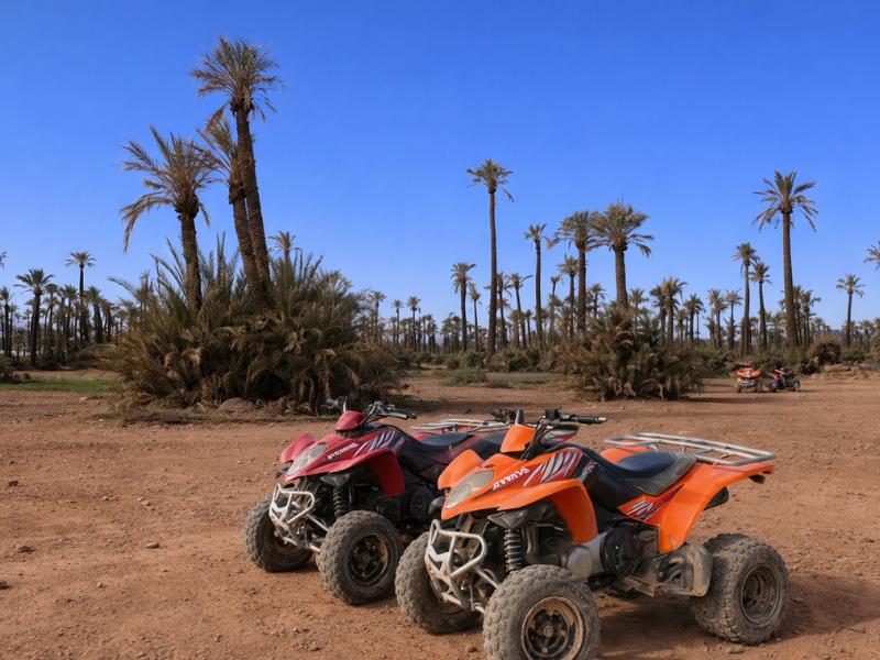 Best Quad Bike Tour from Marrakech – Palm Oasis + Jbilat Desert